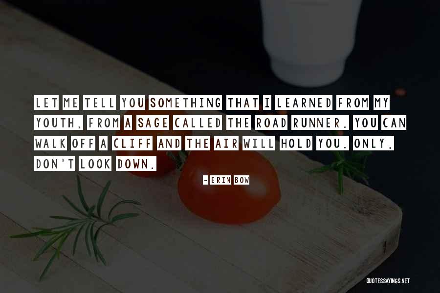 Perfectionate Synonym Quotes By Erin Bow Perfectionate Synonym Quotes By Erin Bow