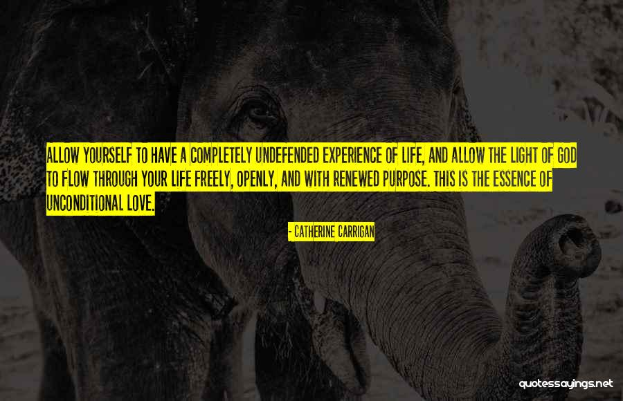 Perfectionately Quotes By Catherine Carrigan Perfectionately Quotes By Catherine Carrigan