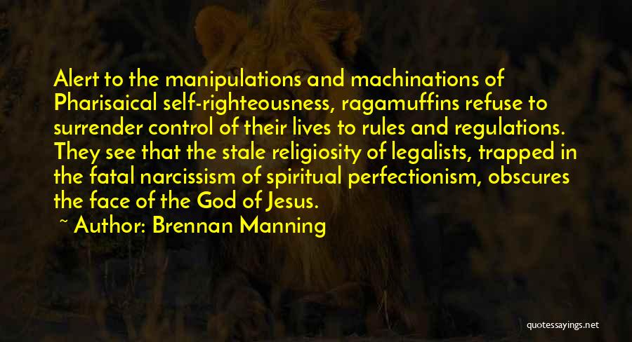 Perfectionism Quotes By Brennan Manning