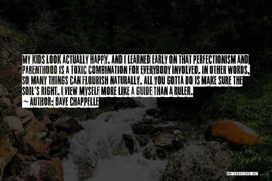 Perfectionism Quotes By Dave Chappelle
