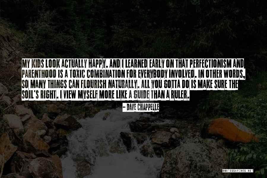 Perfectionism Quotes By Dave Chappelle