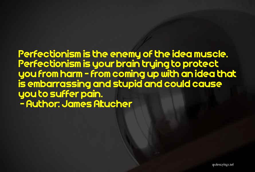 Perfectionism Quotes By James Altucher