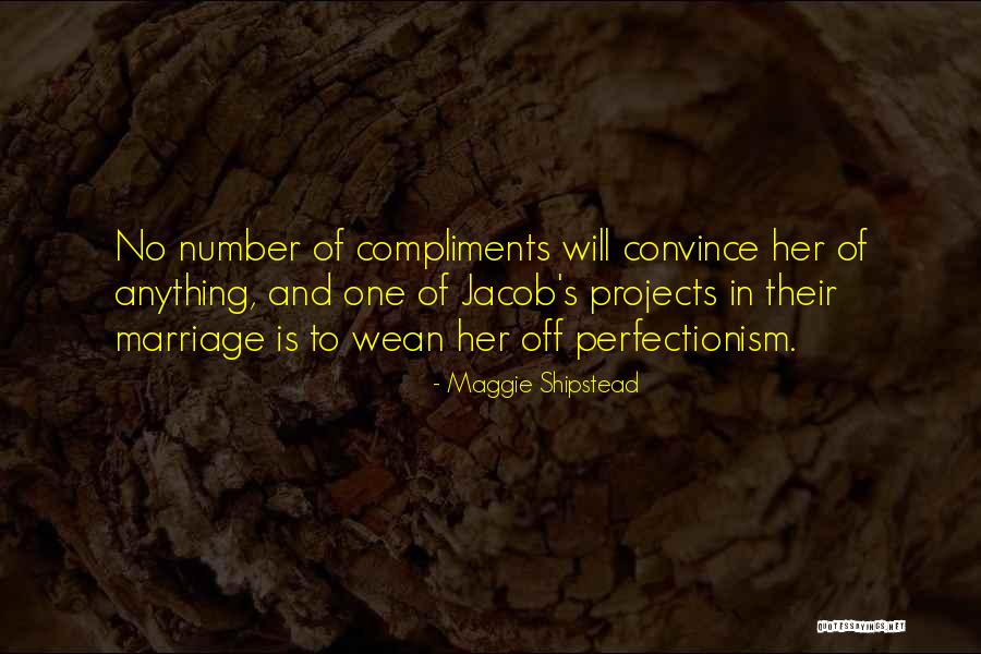 Perfectionism Quotes By Maggie Shipstead Perfectionism Quotes By Maggie Shipstead
