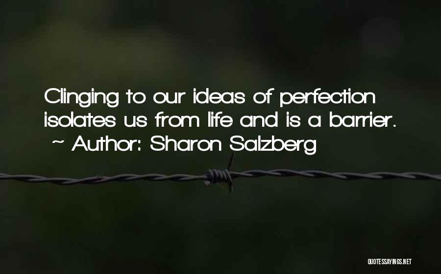 Perfectionism Quotes By Sharon Salzberg