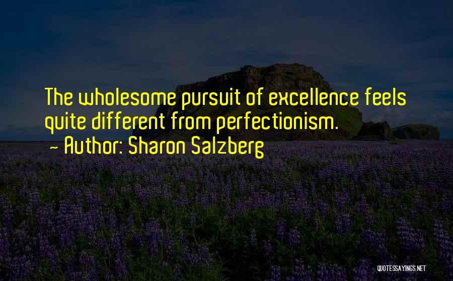 Perfectionism Quotes By Sharon Salzberg