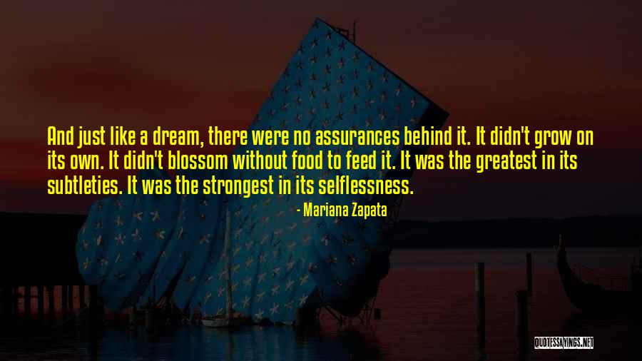 Perfectionism Worthlessness Quotes By Mariana Zapata Perfectionism Worthlessness Quotes By Mariana Zapata