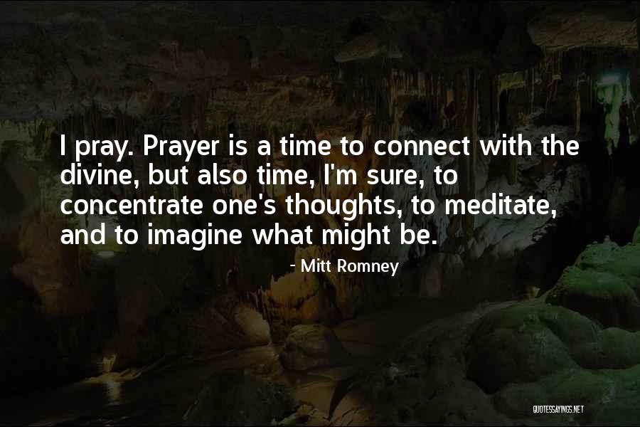 Perfectionist Boss Quotes By Mitt Romney