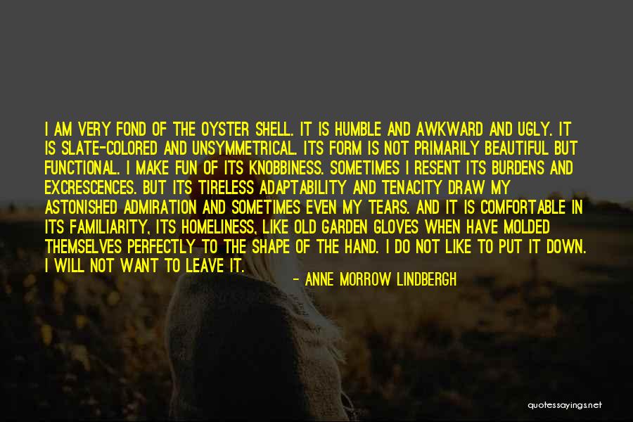 Perfectly Beautiful Quotes By Anne Morrow Lindbergh