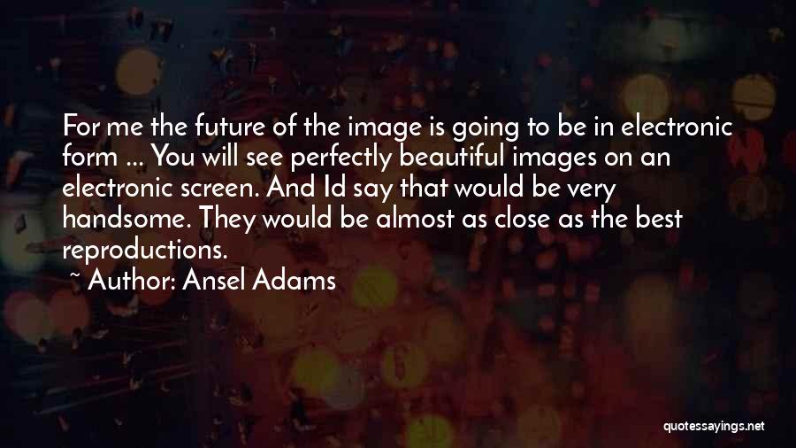 Perfectly Beautiful Quotes By Ansel Adams