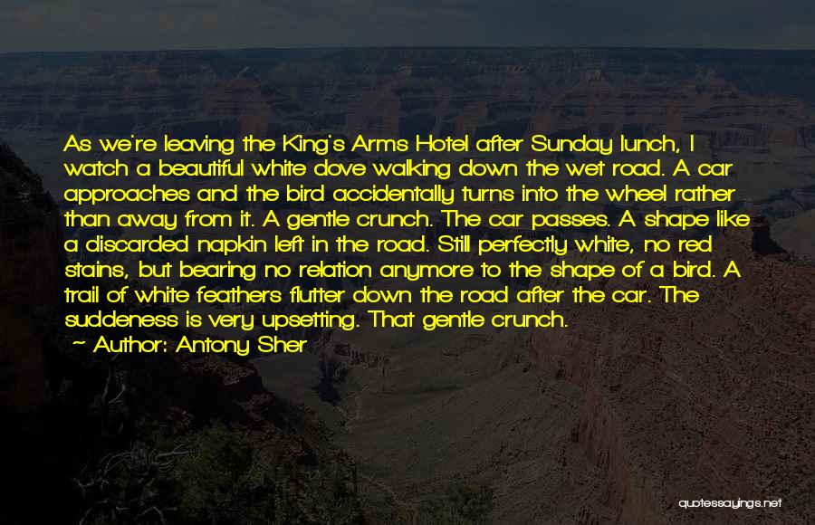Perfectly Beautiful Quotes By Antony Sher Perfectly Beautiful Quotes By Antony Sher