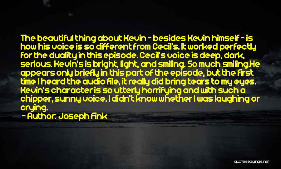 Perfectly Beautiful Quotes By Joseph Fink