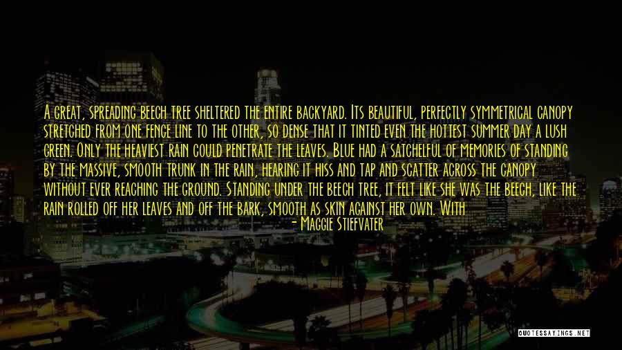 Perfectly Beautiful Quotes By Maggie Stiefvater Perfectly Beautiful Quotes By Maggie Stiefvater
