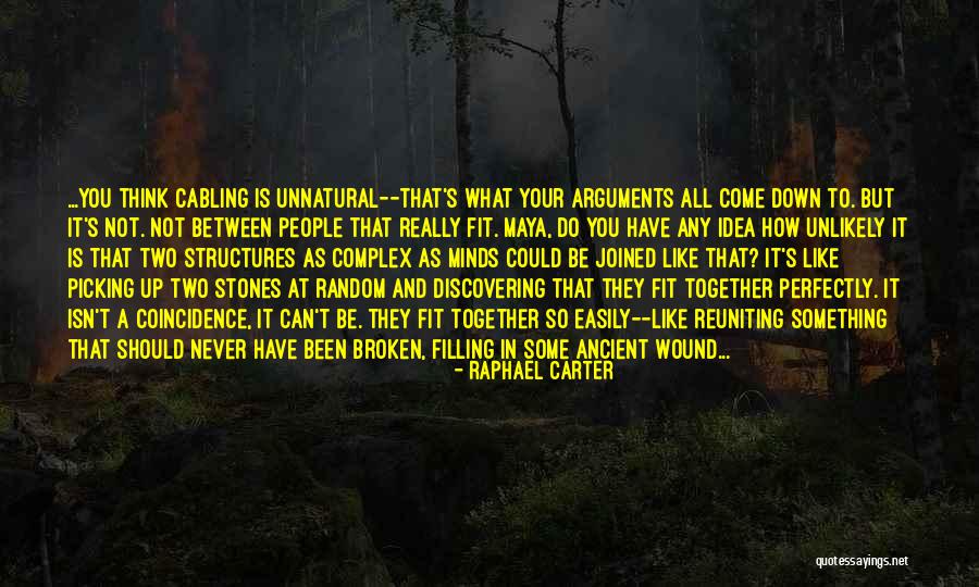 Perfectly Broken Quotes By Raphael Carter