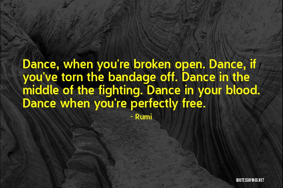 Perfectly Broken Quotes By Rumi