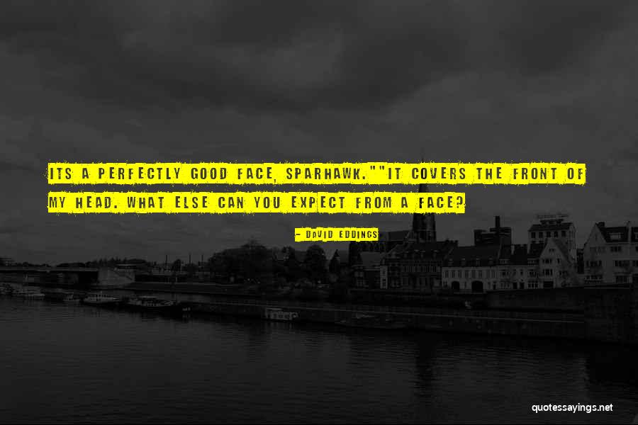 Perfectly Good Quotes By David Eddings Perfectly Good Quotes By David Eddings