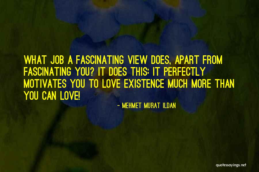 Perfectly Love Quotes By Mehmet Murat Ildan