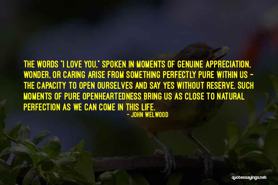 Perfectly Natural Quotes By John Welwood Perfectly Natural Quotes By John Welwood