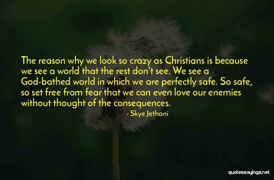 Perfectly Safe Quotes By Skye Jethani Perfectly Safe Quotes By Skye Jethani