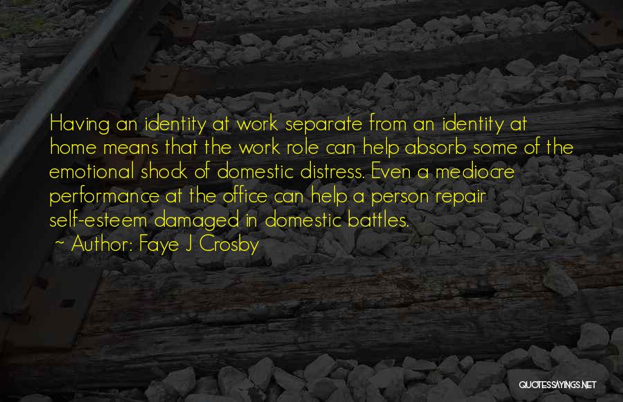 Performance At Work Quotes By Faye J Crosby