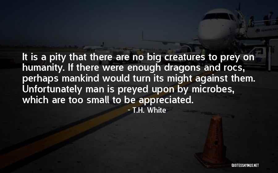 Perhaps All The Dragons Quotes By T.H. White Perhaps All The Dragons Quotes By T.H. White