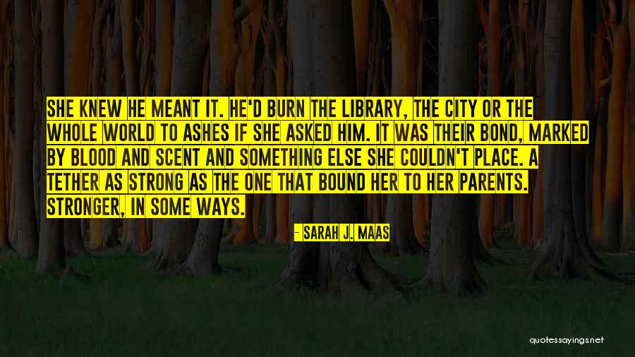 Perhitungan Thr Quotes By Sarah J. Maas Perhitungan Thr Quotes By Sarah J. Maas