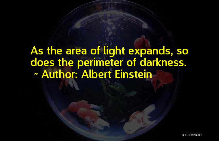 Perimeter Quotes By Albert Einstein