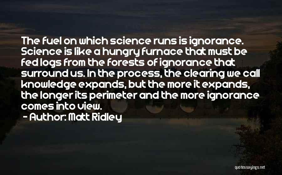 Perimeter Quotes By Matt Ridley