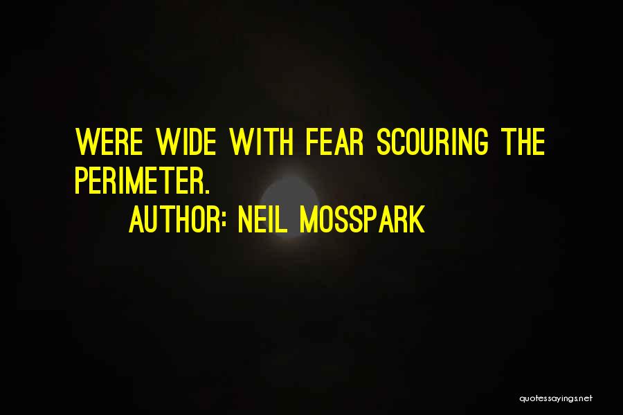 Perimeter Quotes By Neil Mosspark