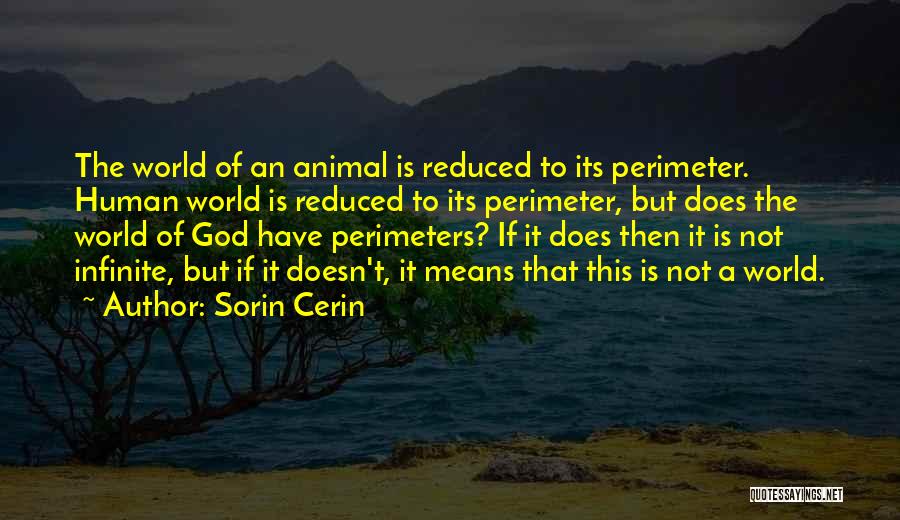 Perimeter Quotes By Sorin Cerin