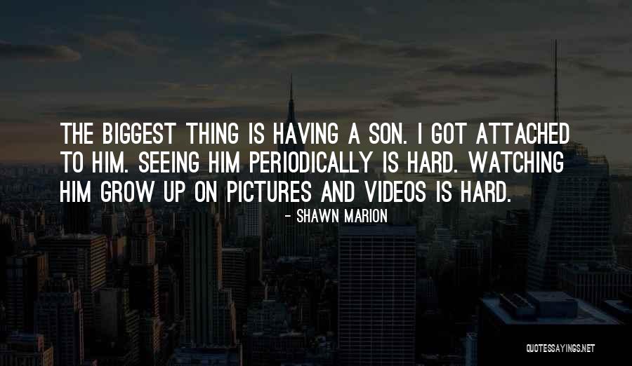 Periodically Quotes By Shawn Marion Periodically Quotes By Shawn Marion
