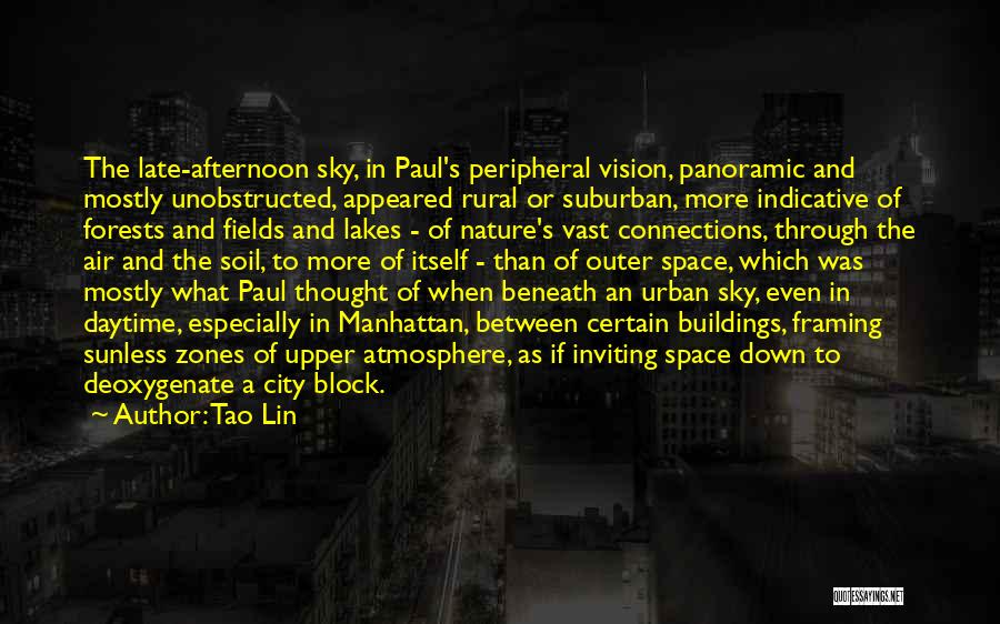 Peripheral Vision Quotes By Tao Lin