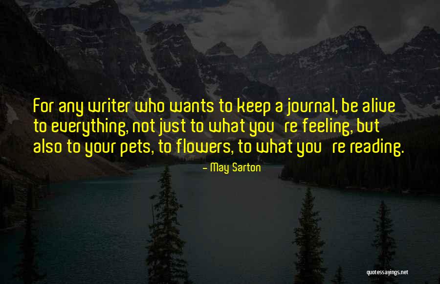 Periphrasis Def Quotes By May Sarton Periphrasis Def Quotes By May Sarton