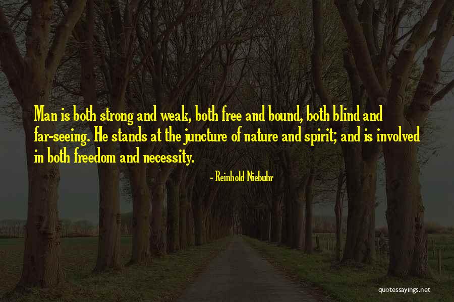 Perjury Statement Quotes By Reinhold Niebuhr Perjury Statement Quotes By Reinhold Niebuhr