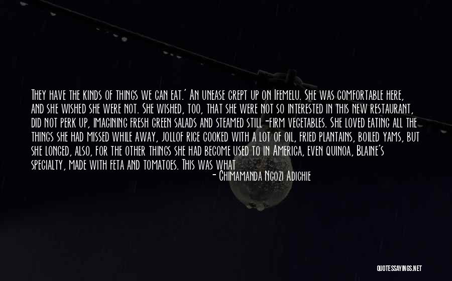Perk Quotes By Chimamanda Ngozi Adichie Perk Quotes By Chimamanda Ngozi Adichie