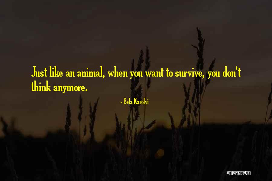 Perkowitz And Ruth Quotes By Bela Karolyi Perkowitz And Ruth Quotes By Bela Karolyi