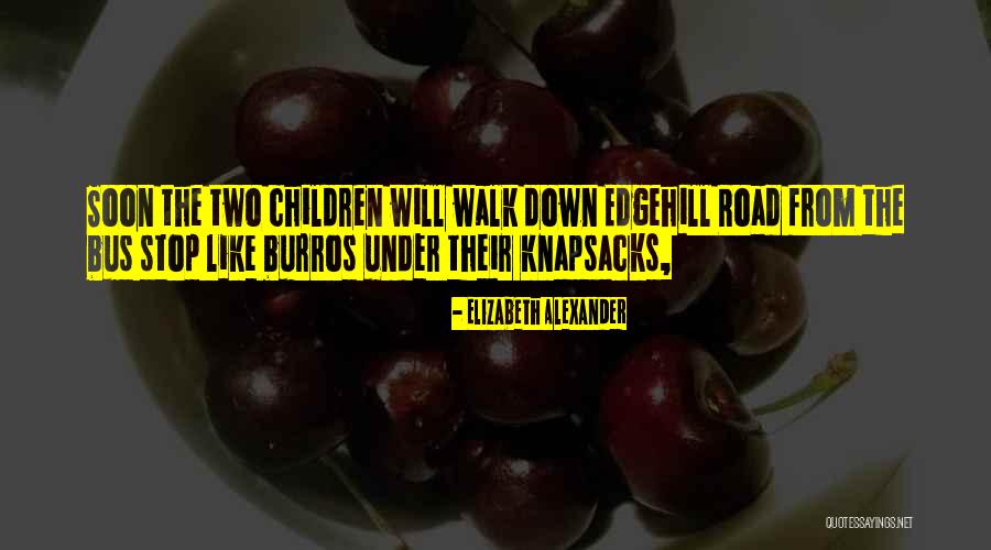 Perkowitz And Ruth Quotes By Elizabeth Alexander Perkowitz And Ruth Quotes By Elizabeth Alexander