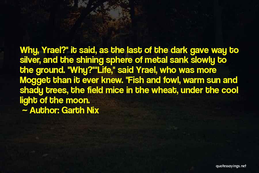 Perkuat Sinyal Wifi Quotes By Garth Nix
