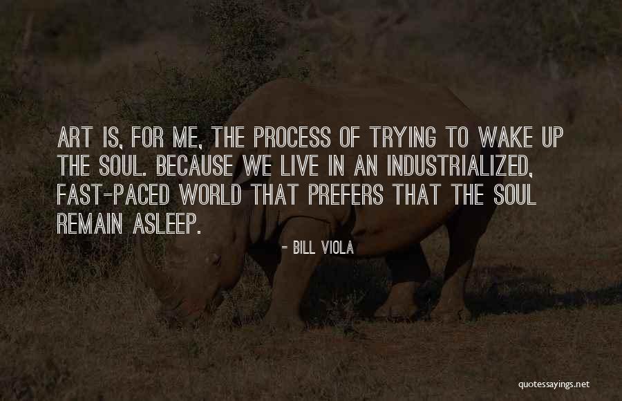 Perlawanan Pattimura Quotes By Bill Viola