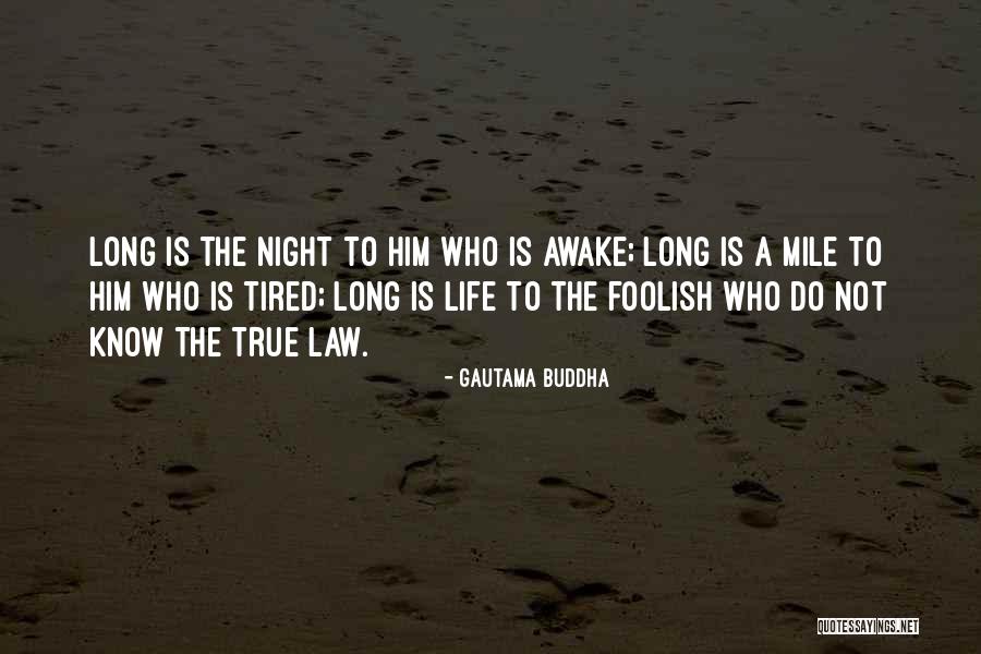 Perlindungan Data Quotes By Gautama Buddha Perlindungan Data Quotes By Gautama Buddha