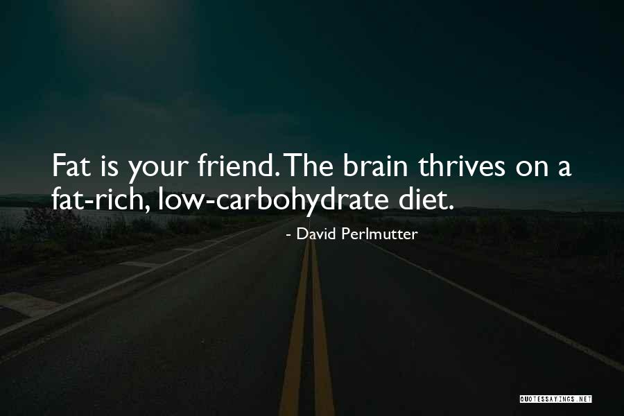 Perlmutter Quotes By David Perlmutter Perlmutter Quotes By David Perlmutter