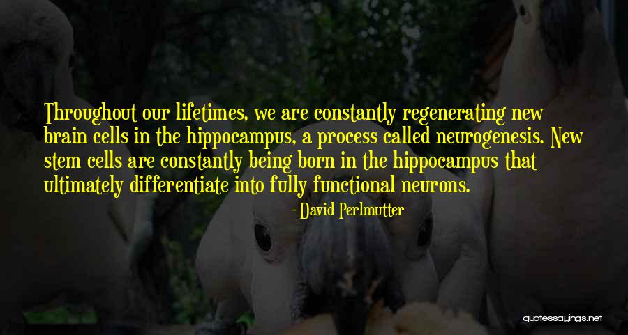 Perlmutter Quotes By David Perlmutter