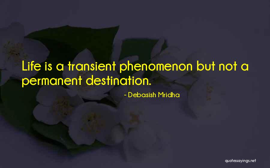 Permanent Happiness Quotes By Debasish Mridha