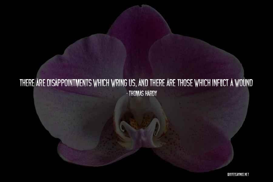 Permanent Happiness Quotes By Thomas Hardy