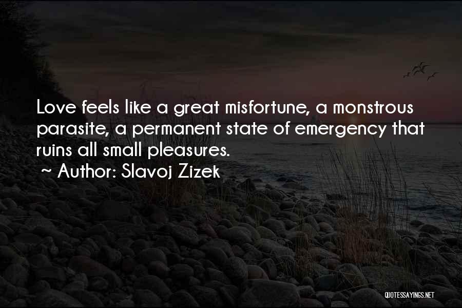 Permanent Love Quotes By Slavoj Zizek