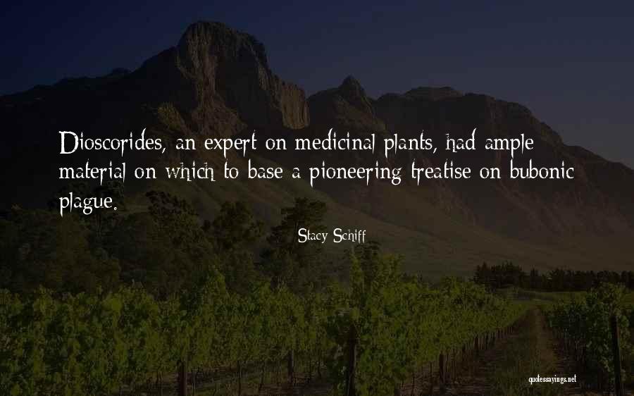 Permise Pescuit Quotes By Stacy Schiff Permise Pescuit Quotes By Stacy Schiff