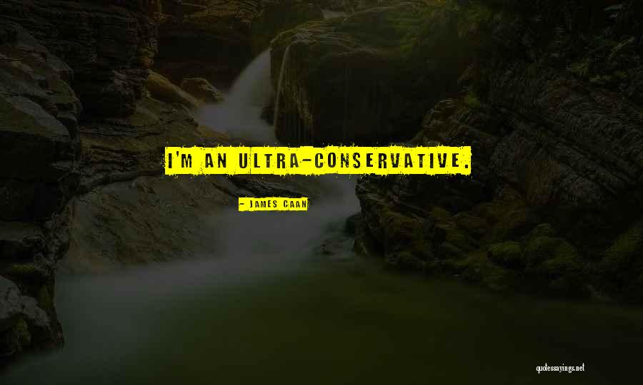 Permissible Exposure Quotes By James Caan Permissible Exposure Quotes By James Caan