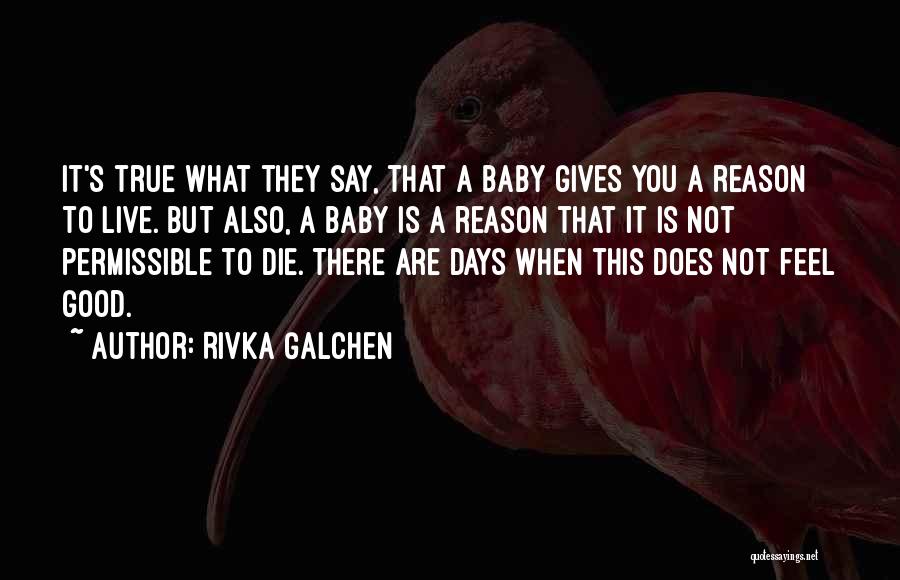 Permissible Quotes By Rivka Galchen