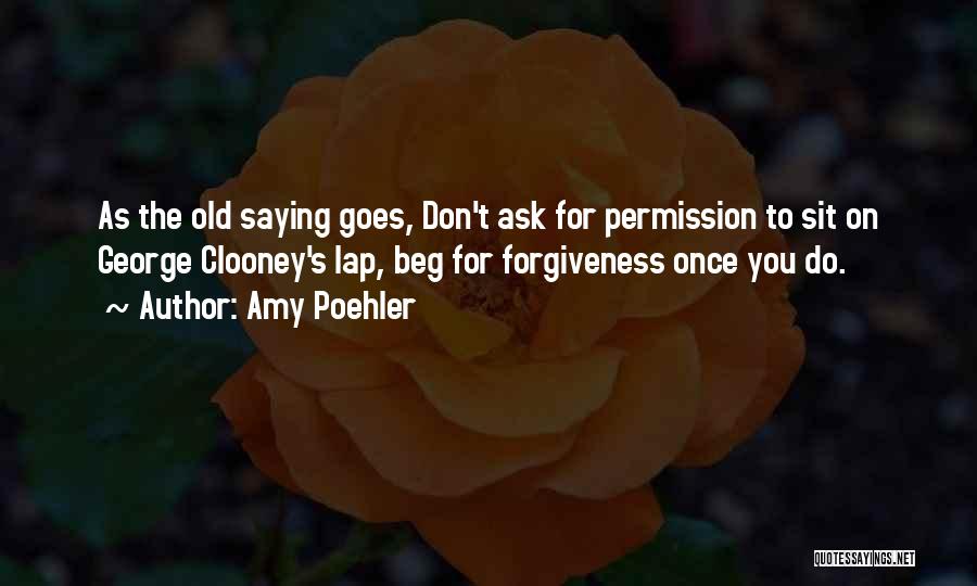 Permission Forgiveness Quotes By Amy Poehler