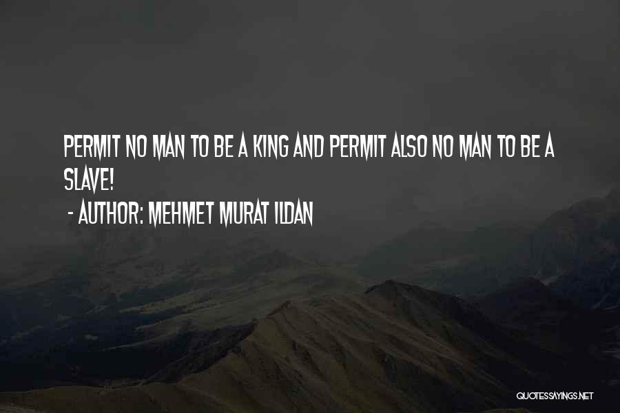 Permit Quotes By Mehmet Murat Ildan