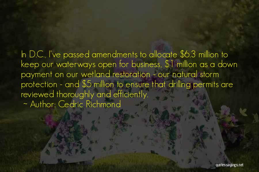 Permits Quotes By Cedric Richmond